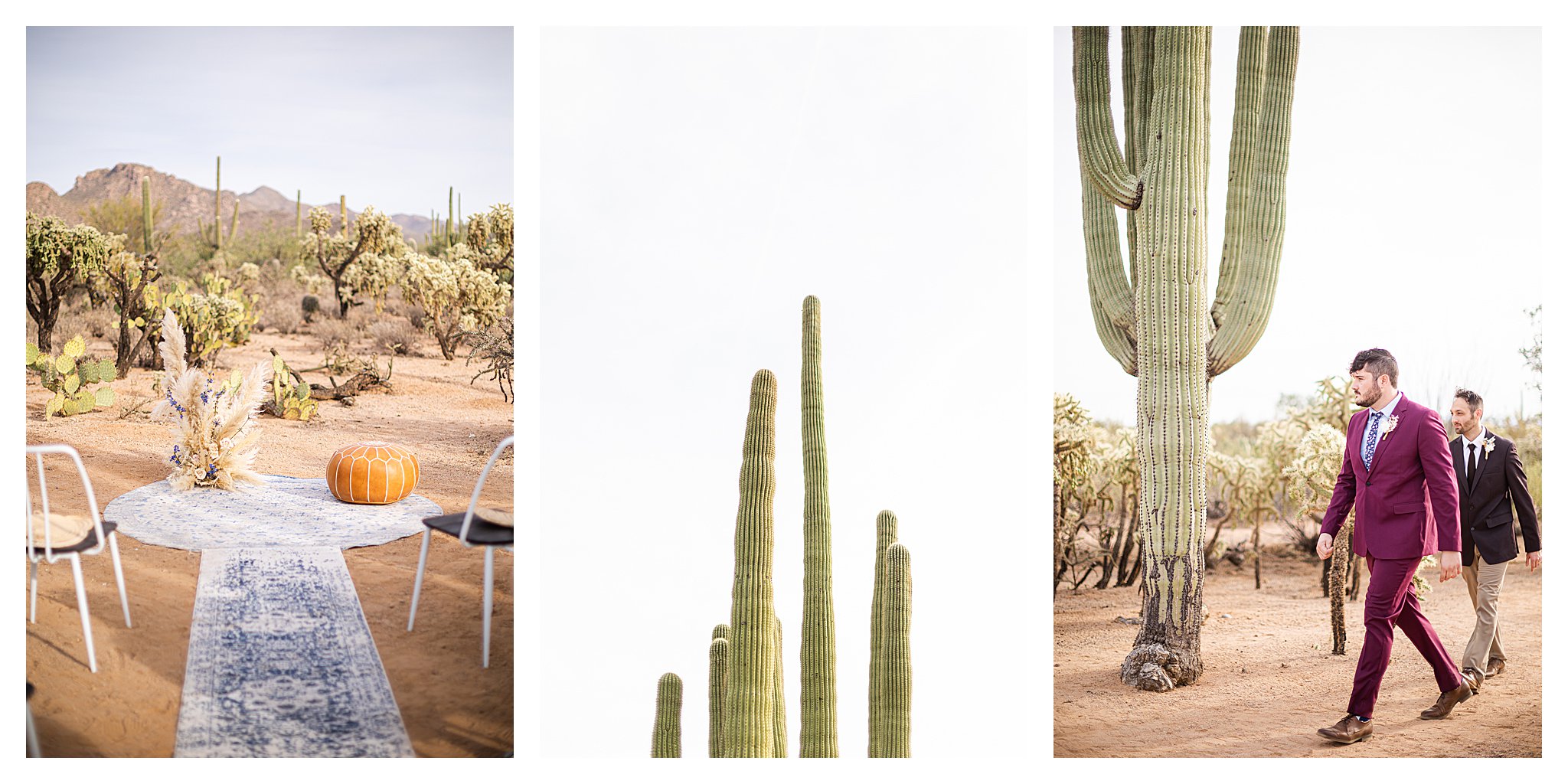 Desert wedding ceremony moments in Tucson, AZ