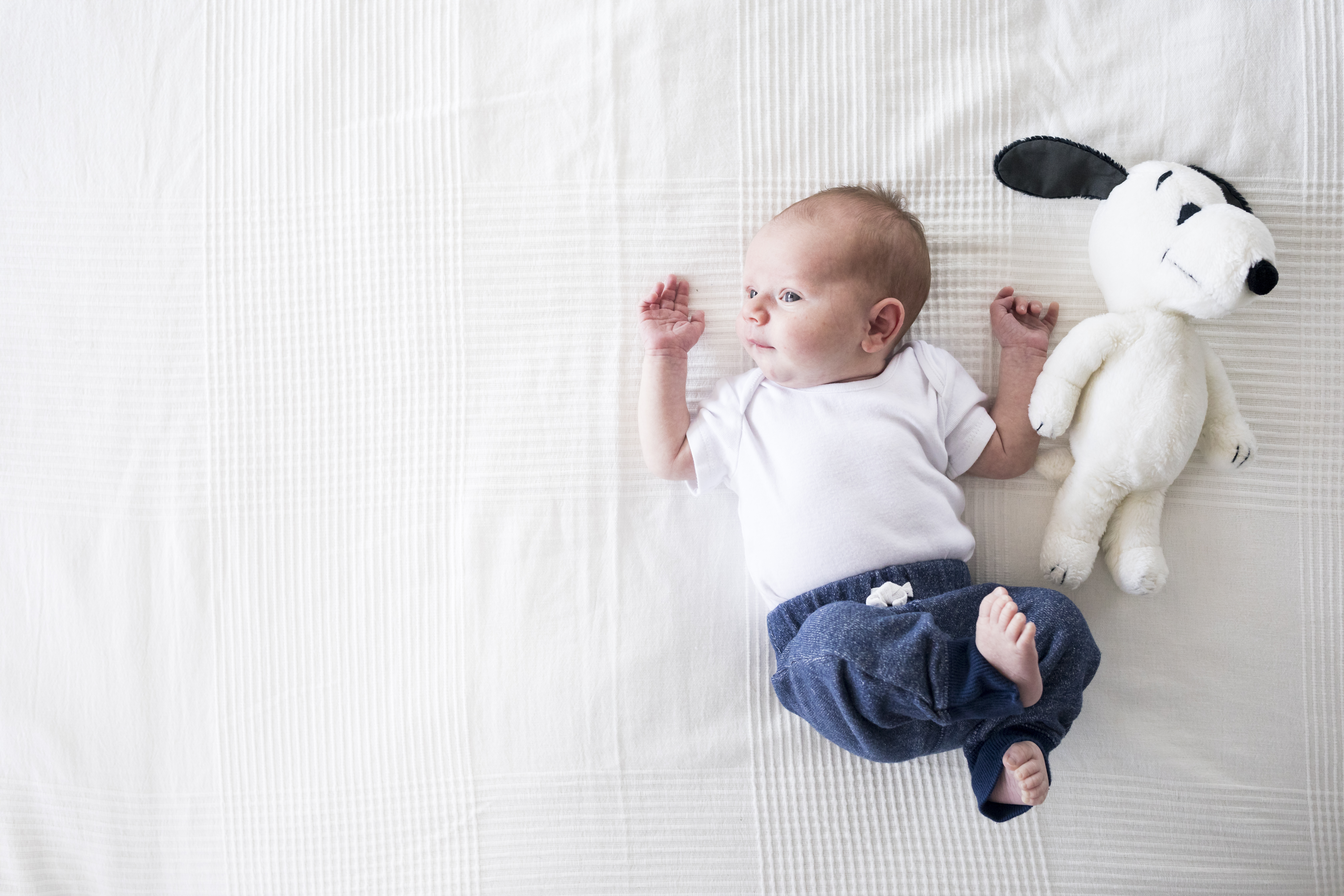Baby on white bedding in studio portrait with stuffed snoopy